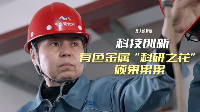 政府采购信息化项目管理流程解析